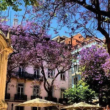 Amazing Camoes - Chiado, * ליסבון